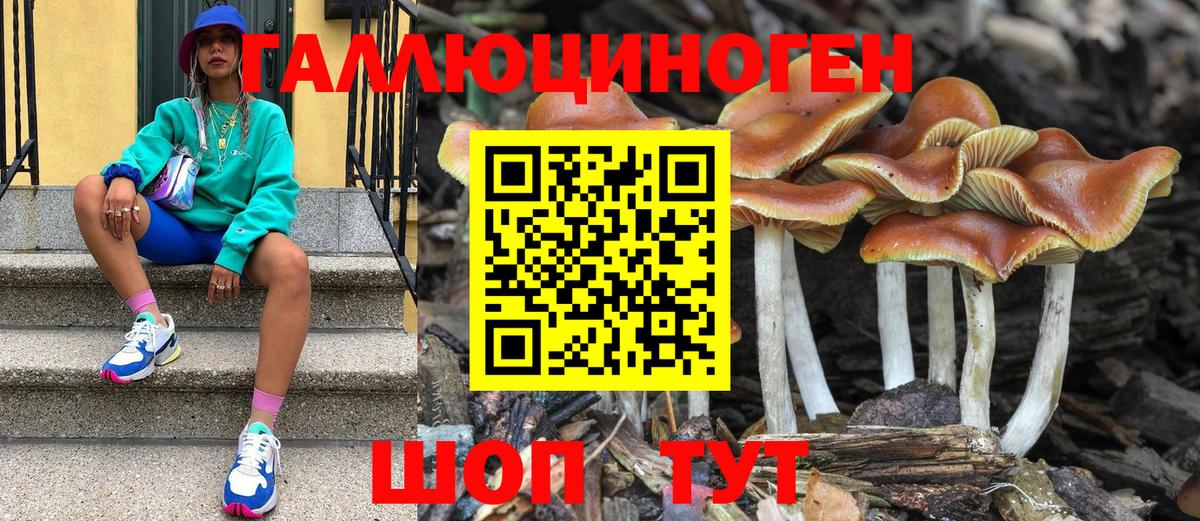 где продают наркотики  Псилоцибиновые грибы прущие грибы  Вход с VPN  Заволжье 