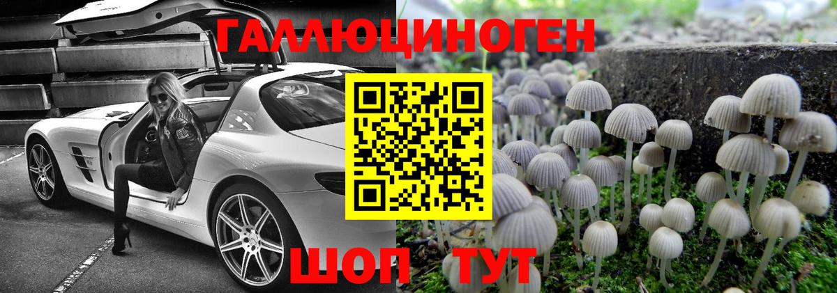Псилоцибиновые грибы MAGIC MUSHROOMS Заволжье